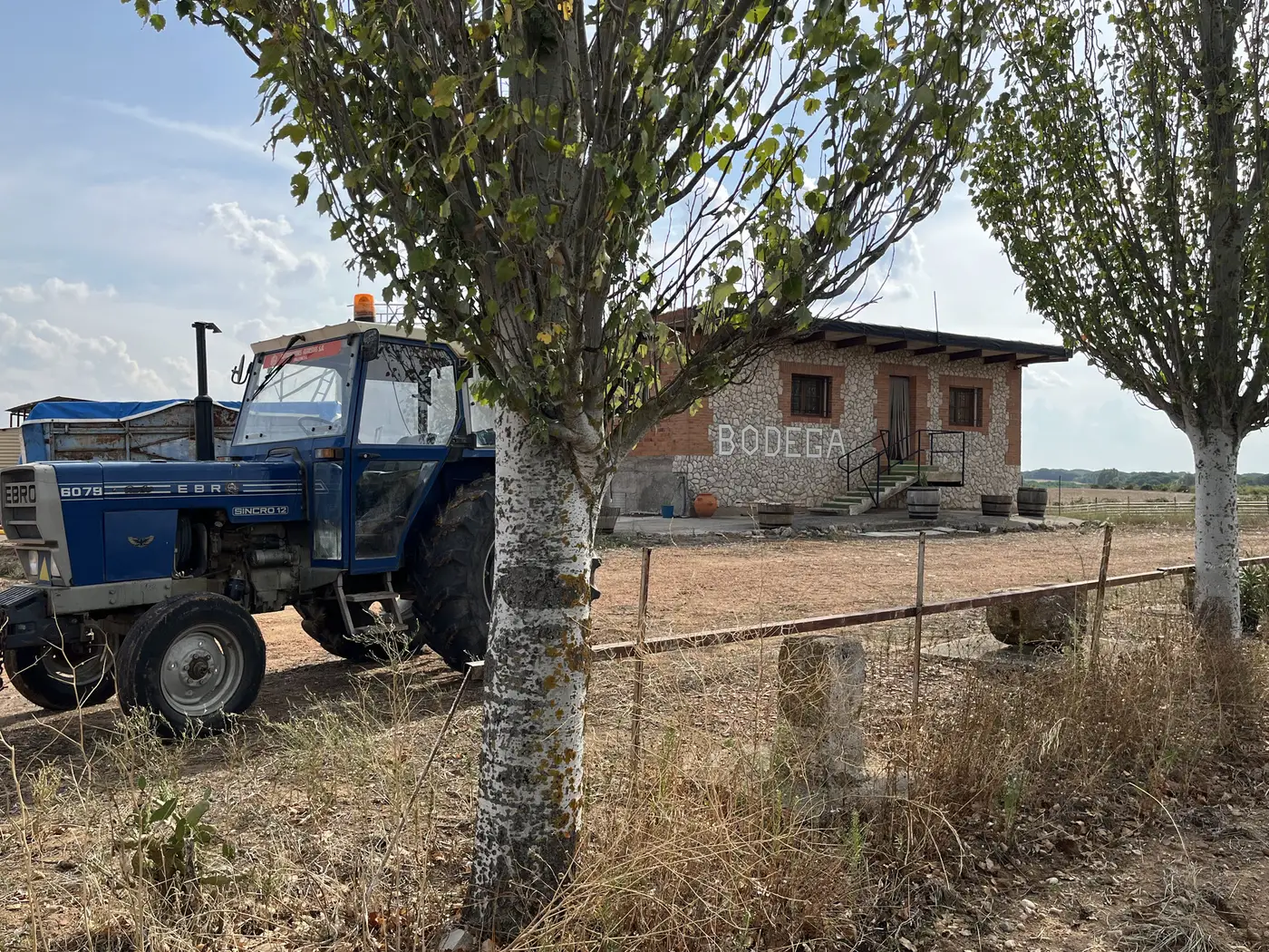 La bodega en Morales de Toro, con su tractor azul y los chopos de la entrada